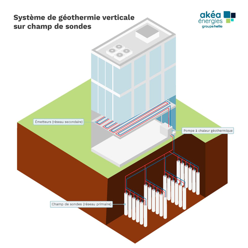 Schéma géothermie verticale champ de sondes bâtiment tertiaire