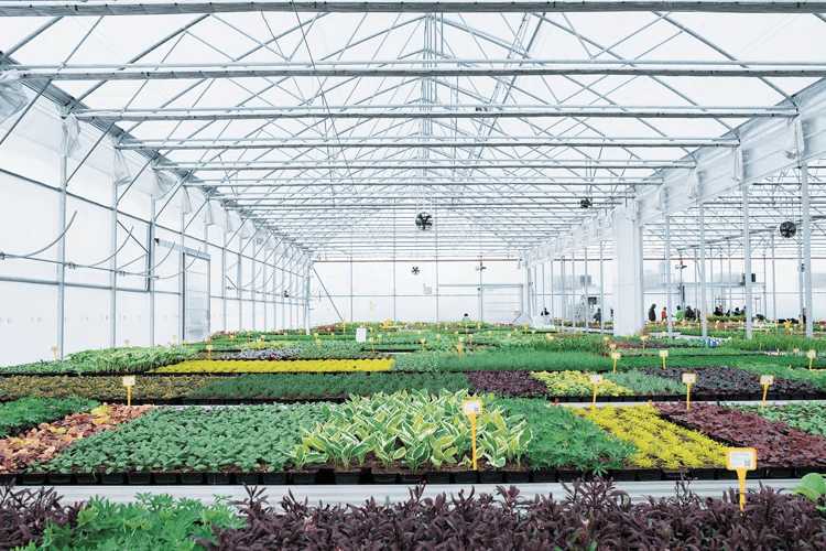 serre-horticulteur-agriculture