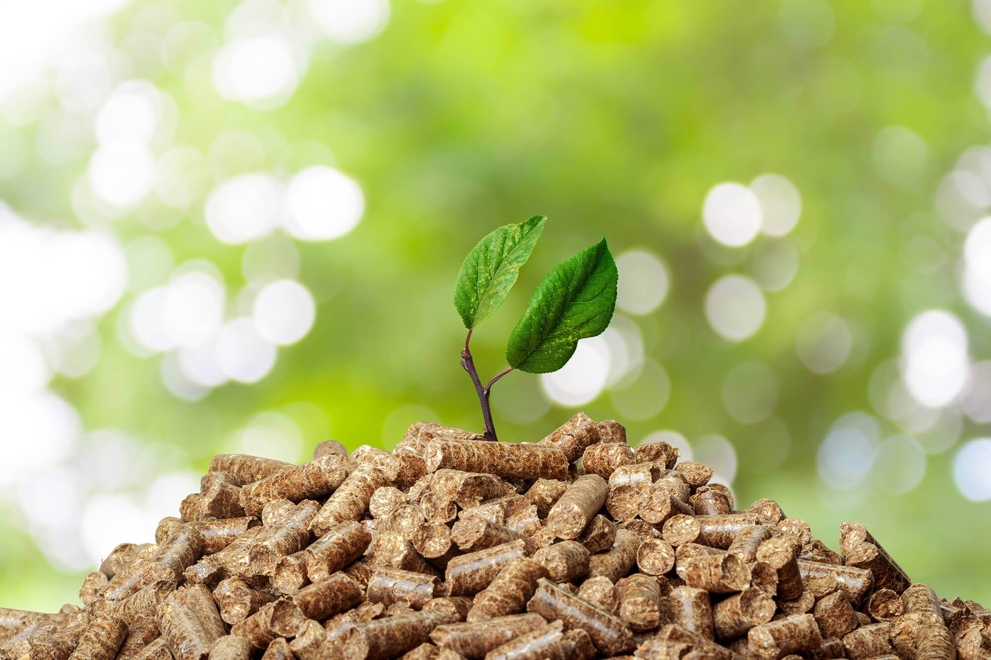 Bois déchiqueté pour produire de la chaleur renouvelable